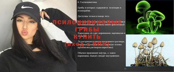 дмт Инта