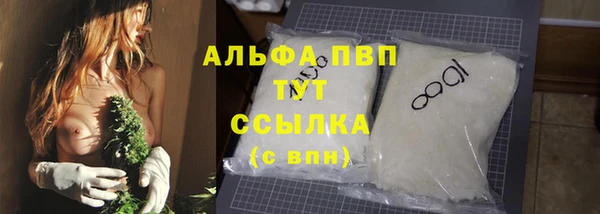 гашик Зеленокумск