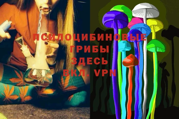гашик Зеленокумск