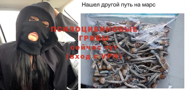 бутират Инсар
