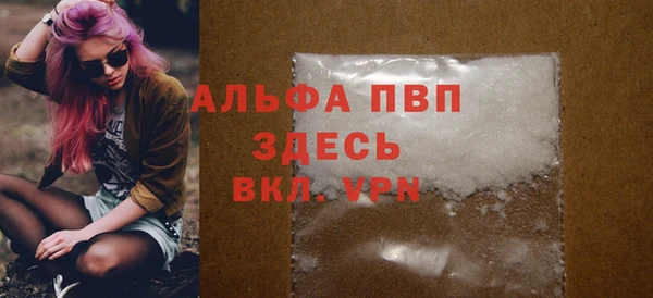 дмт Инта