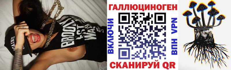Галлюциногенные грибы Psilocybine cubensis Купить где Донецк